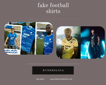 fake Hoffenheim football shirts 23-24